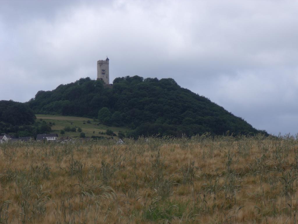 Ferienwohnung Am Waldrand Bad Breisig Exteriér fotografie
