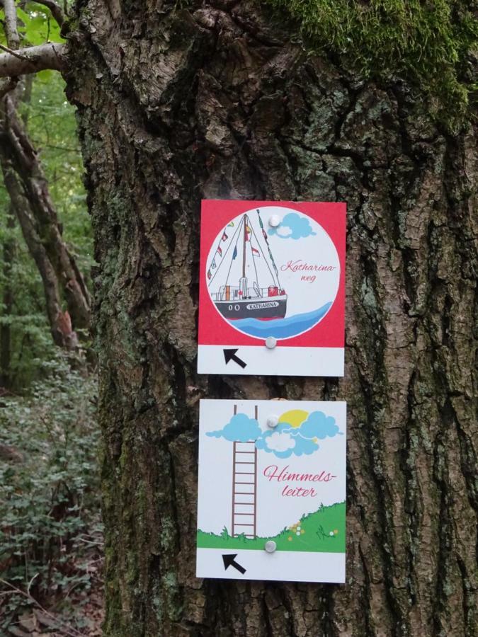 Ferienwohnung Am Waldrand Bad Breisig Exteriér fotografie